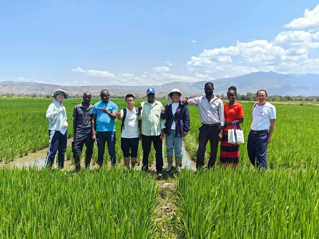 Hope for a bountiful harvest through agricultural cooperation between China and Africa